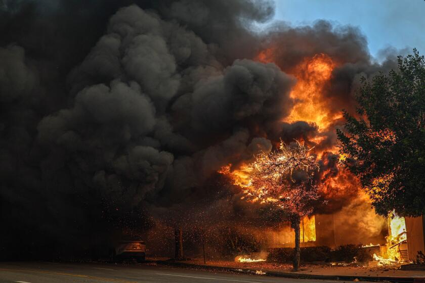 5 Dead, More Than 2,000 Structures Burned as New Fire Hits Hollywood Hills